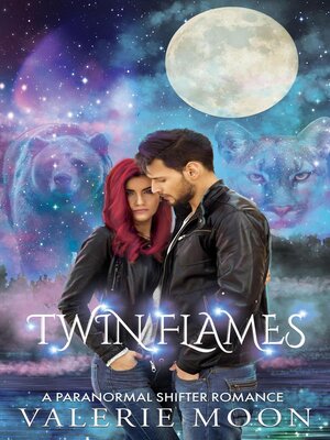 Twin Flames - ebook